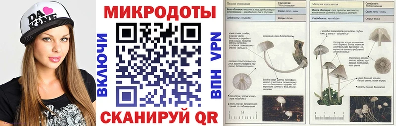 Галлюциногенные грибы Cubensis  даркнет сайт  Калининград 